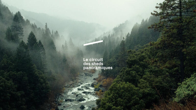 Sheds Panoramiques - Branding